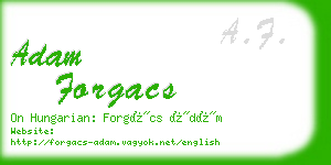 adam forgacs business card